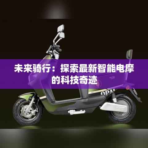 第293页