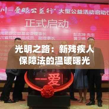 光明之路:新残疾人保障法的温暖曙光