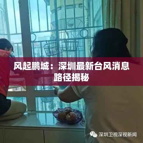 风起鹏城:深圳最新台风消息路径揭秘