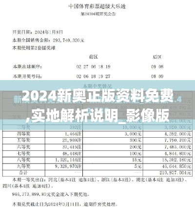 2024新奥正版资料免费,实地解析说明_影像版9.276-4
