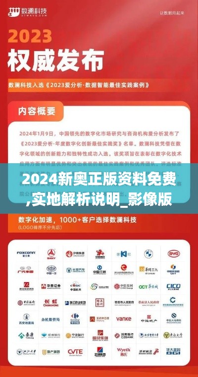 2024新奥正版资料免费,实地解析说明_影像版9.276-4