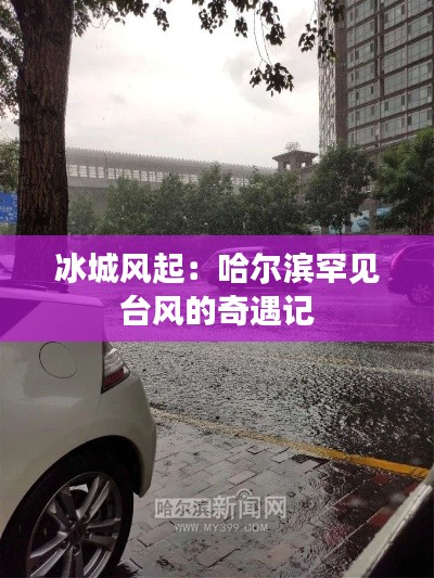 冰城风起:哈尔滨罕见台风的奇遇记