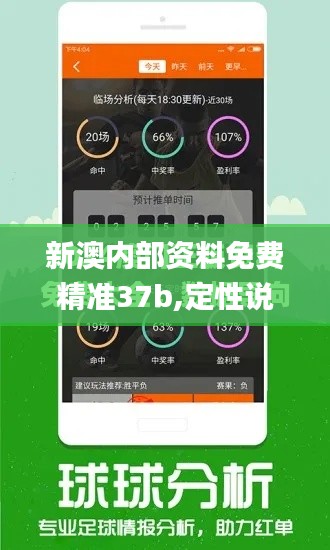 新澳内部资料免费精准37b,定性说明解析_Prime9.235