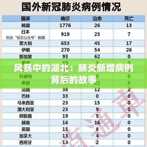 风暴中的湖北：肺炎新增病例背后的故事