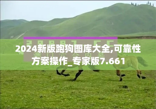 2024新版跑狗图库大全,可靠性方案操作_专家版7.661