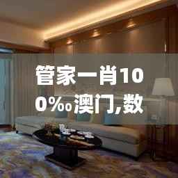 管家一肖100‰澳门,数据导向实施步骤_标准版10.772