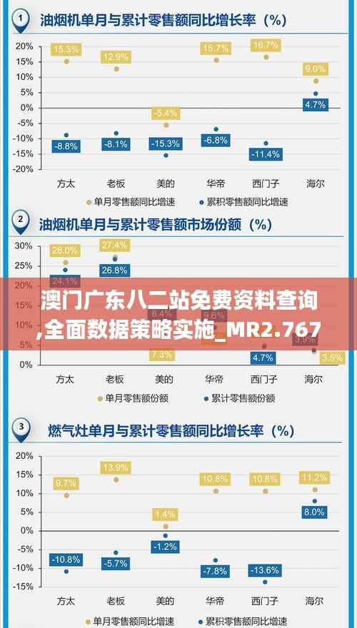 澳门广东八二站免费资料查询,全面数据策略实施_MR2.767