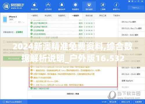 2024新澳精准免费资料,综合数据解析说明_户外版16.532