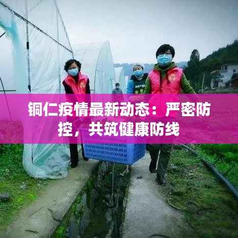 铜仁疫情最新动态:严密防控,共筑健康防线