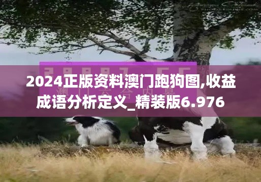 2024正版资料澳门跑狗图,收益成语分析定义_精装版6.976
