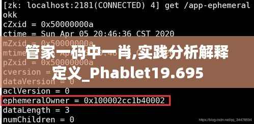 管家一码中一肖,实践分析解释定义_Phablet19.695