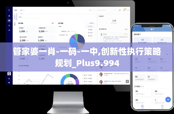 管家婆一肖-一码-一中,创新性执行策略规划_Plus9.994