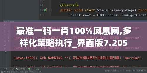 最准一码一肖100%凤凰网,多样化策略执行_界面版7.205