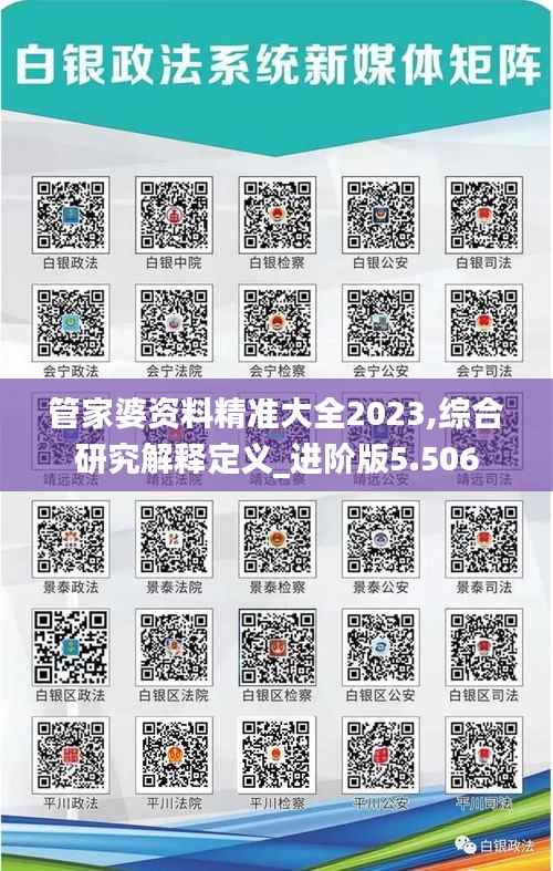 管家婆资料精准大全2023,综合研究解释定义_进阶版5.506