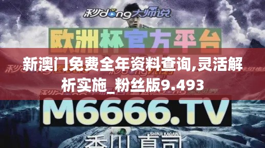 新澳门免费全年资料查询,灵活解析实施_粉丝版9.493
