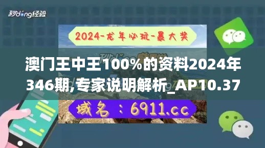 澳门王中王100%的资料2024年346期,专家说明解析_AP10.378