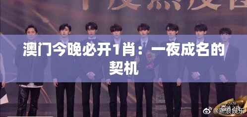 澳门今晚必开1肖：一夜成名的契机