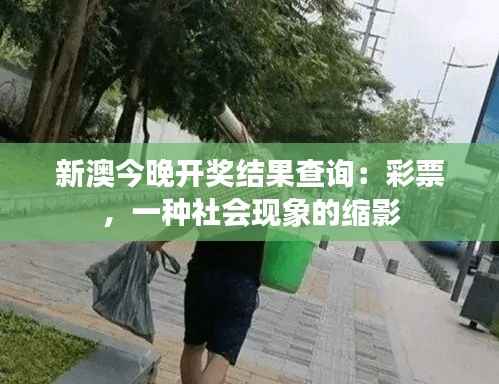 新澳今晚开奖结果查询：彩票，一种社会现象的缩影