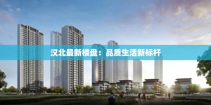 汉北最新楼盘:品质生活新标杆