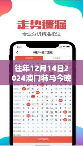 往年12月14日2024澳门特马今晚开奖亿彩网：特马赛事的经济影响力