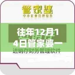 往年12月14日管家婆一码一肖100中奖:激战中的智慧较量,财富的快速累积