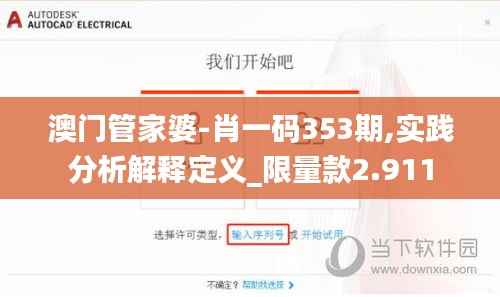 澳门管家婆-肖一码353期,实践分析解释定义_限量款2.911