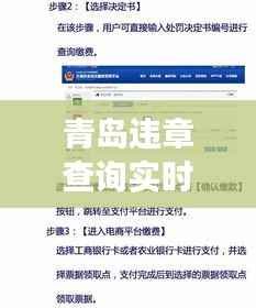 青岛违章查询实时:便捷服务助您轻松了解交通违法情况