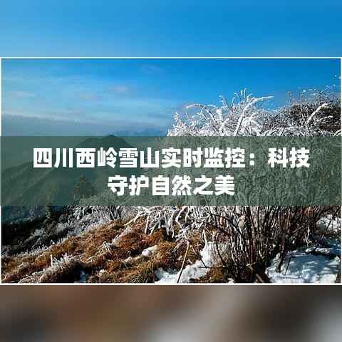 举世无双 第3页