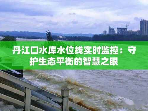 丹江口水库水位线实时监控：守护生态平衡的智慧之眼