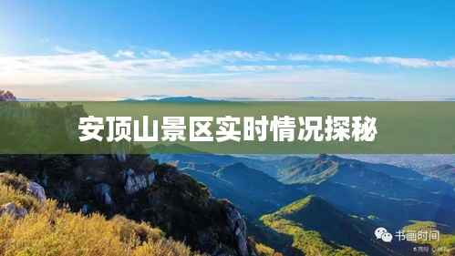 花开无言