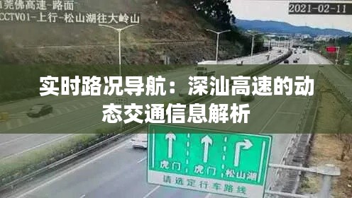 张灯挂彩 第3页