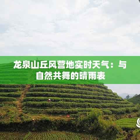 龙泉山丘风营地实时天气:与自然共舞的晴雨表