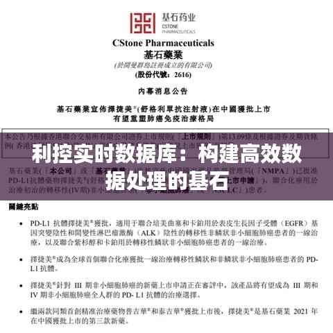 利控实时数据库:构建高效数据处理的基石