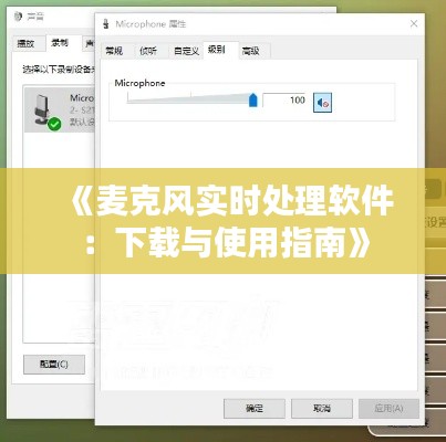 《麦克风实时处理软件:下载与使用指南》