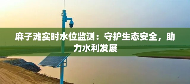 麻子滩实时水位监测:守护生态安全,助力水利发展