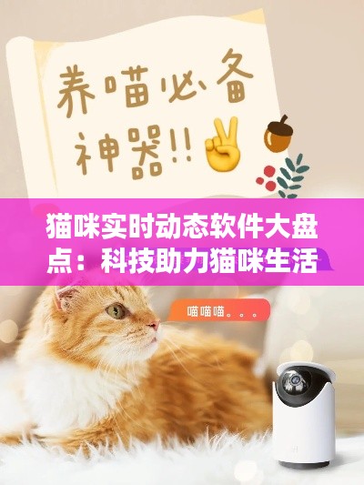 猫咪实时动态软件大盘点:科技助力猫咪生活,随时随地陪伴你的萌宠