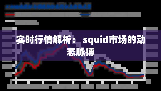 实时行情解析: squid市场的动态脉搏