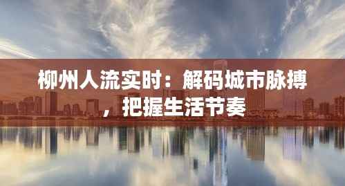 柳州人流实时:解码城市脉搏,把握生活节奏