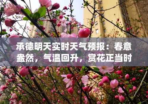 悬梁刺股 第3页