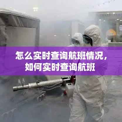 怎么实时查询航班情况,如何实时查询航班