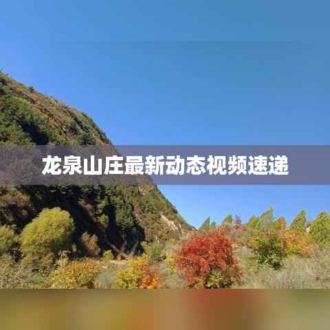 龙泉山庄最新动态视频速递