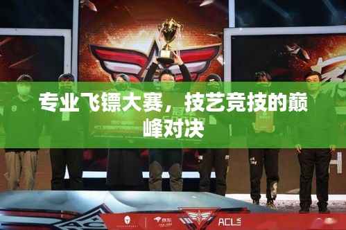 专业飞镖大赛,技艺竞技的巅峰对决
