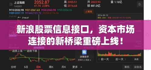 新浪股票信息接口，资本市场连接的新桥梁重磅上线！