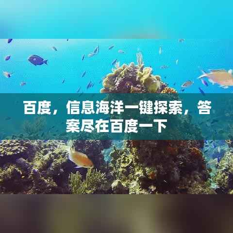 百度，信息海洋一键探索，答案尽在百度一下