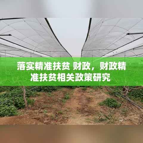 落实精准扶贫 财政,财政精准扶贫相关政策研究