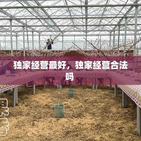 专心致志 第3页