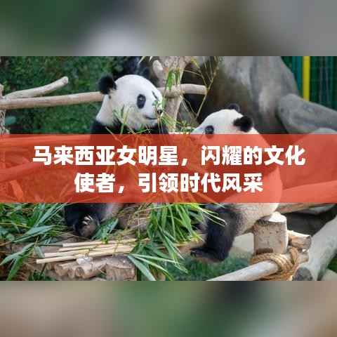 马来西亚女明星，闪耀的文化使者，引领时代风采