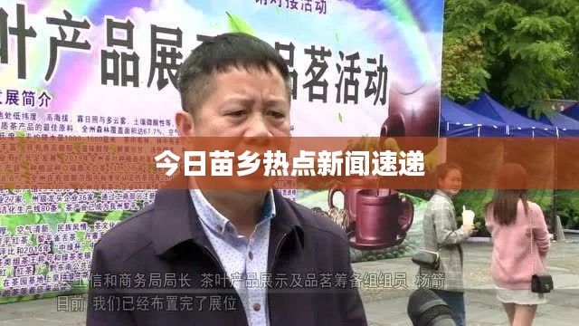 今日苗乡热点新闻速递