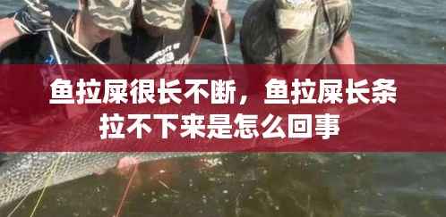 鱼拉屎很长不断,鱼拉屎长条拉不下来是怎么回事