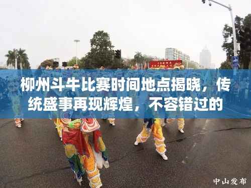 柳州斗牛比赛时间地点揭晓,传统盛事再现辉煌,不容错过的竞技盛宴